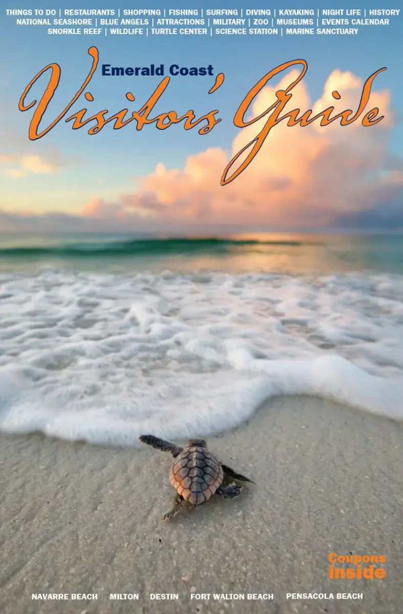 VG-2019-b344182a