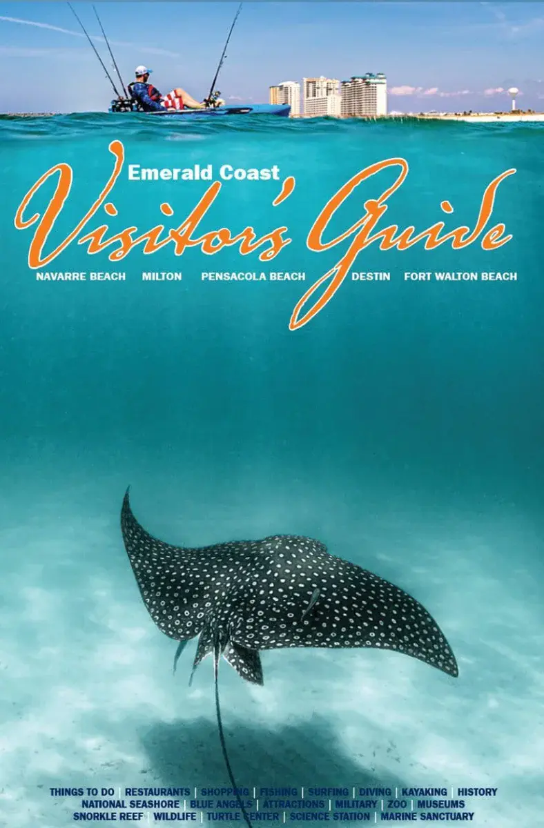 VG-2020-db2ed839